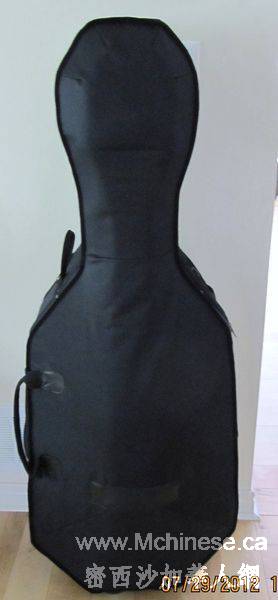 cello case.jpg